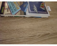 Das Grosse Amiga Spielebuch Ksiazka Amiga