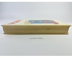 Książka: Das große Amiga 500 Buch