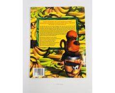 Książka Donkey Kong 64 - Der offizielle Nintendo 64 Spieleberater