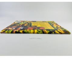 Książka Donkey Kong 64 - Der offizielle Nintendo 64 Spieleberater