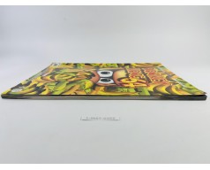 Książka Donkey Kong 64 - Der offizielle Nintendo 64 Spieleberater