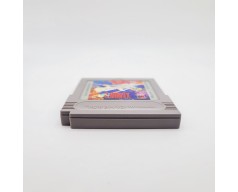 Xenon 2 Megablast Nintendo Game Boy (GB)