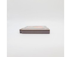 Burai Fighter Deluxe Nintendo Game Boy (GB)