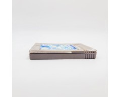 Battletoads in Ragnarok's World Nintendo Game Boy (GB)