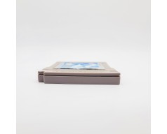 Battletoads in Ragnarok's World Nintendo Game Boy (GB)