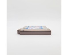 Balloon Kid Nintendo Game Boy (GB)