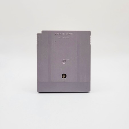 Disney's Mulan Nintendo Game Boy (GB)