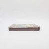 Nintendo World Cup Nintendo Game Boy (GB)