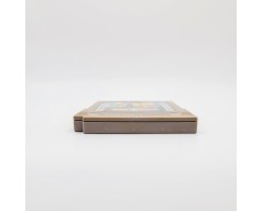 WWF Steel Cage Tag Team Action Nintendo Game Boy (GB)