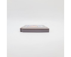 Motocross Maniacs Nintendo Game Boy (GB)