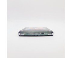 Die 24 Stunden von Le Mans Nintendo Game Boy Color (GBC)