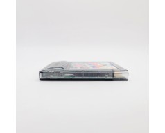 Die 24 Stunden von Le Mans Nintendo Game Boy Color (GBC)