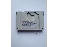 Champions World Class Soccer Super Nintendo (SNES)