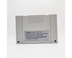 Secret of Evermore Super Nintendo (SNES)