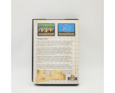 Wonder Boy Sega Master System (SMS)