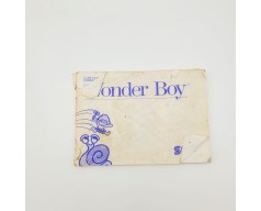 Wonder Boy Sega Master System (SMS)