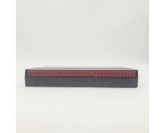 The Ninja Sega Master System (SMS)