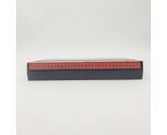 Wonder Boy Sega Master System (SMS)