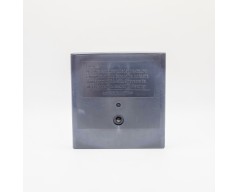 Chuck Rock II: Son of Chuck Sega Game Gear (GG)