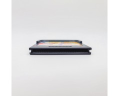 Desert Speedtrap starring Road Runner and Wile E. Coyote Sega Game Gear (GG)