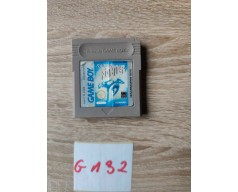Raging Fighter Game Boy (GB)