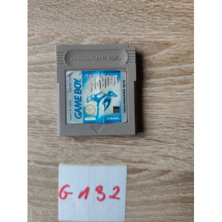 Raging Fighter Game Boy (GB)