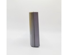 ECW Hardcore Revolution Nintendo 64 (N64)